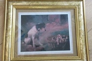 Langer mooi met lijsten image 1